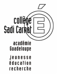 logo black sadi carnot